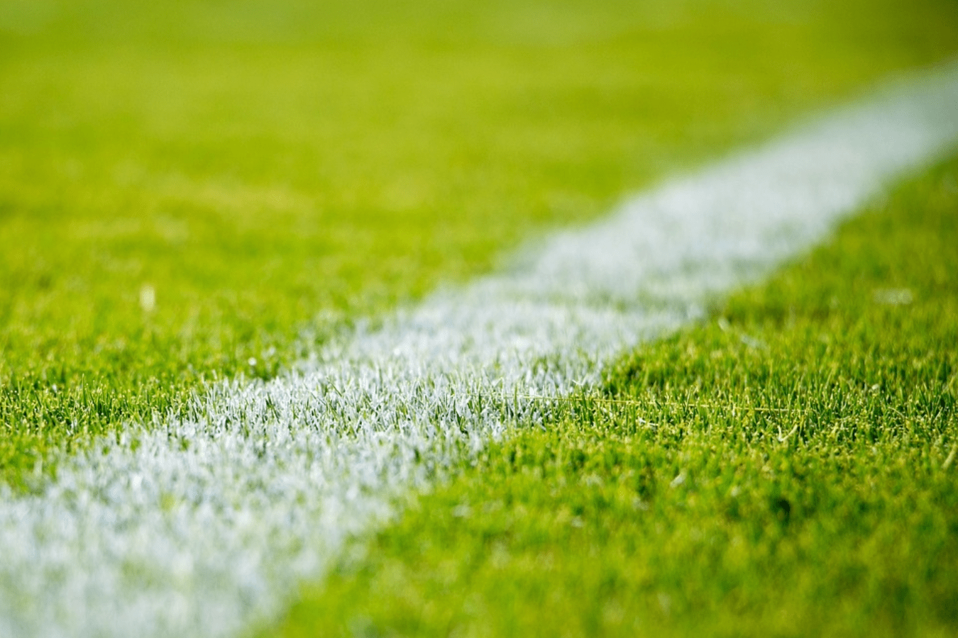 calcio e qualità